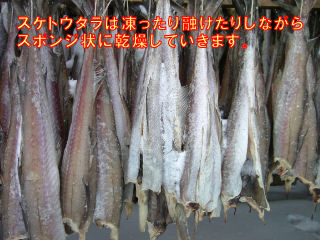 XPgE^͂ȂӂɊ܂