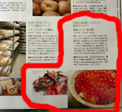 ̎蒟P